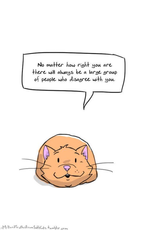It’s Hard To Kill The Messengers Of Truth When They're So Cute (60 pics)