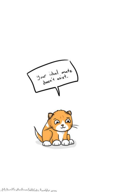 It’s Hard To Kill The Messengers Of Truth When They're So Cute (60 pics)