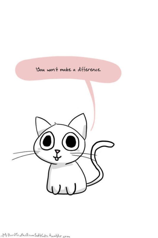 It’s Hard To Kill The Messengers Of Truth When They're So Cute (60 pics)