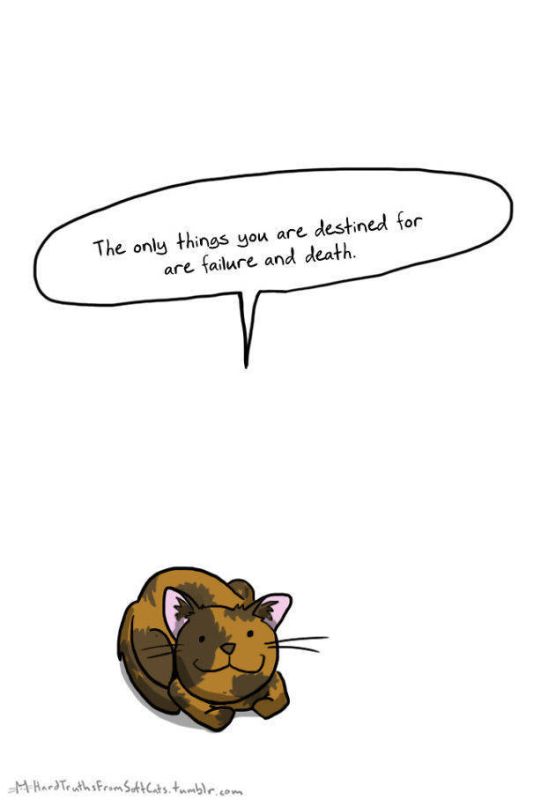 It’s Hard To Kill The Messengers Of Truth When They're So Cute (60 pics)