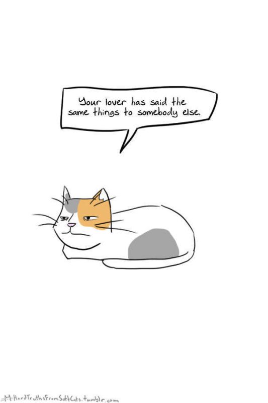 It’s Hard To Kill The Messengers Of Truth When They're So Cute (60 pics)