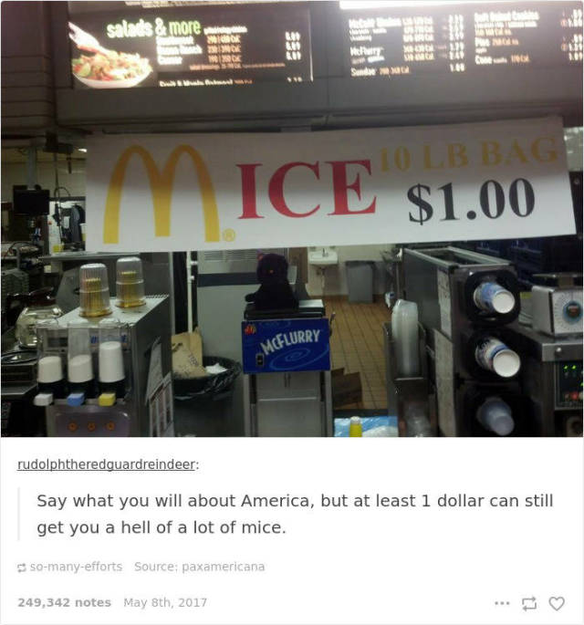 It’s Impossible Not To Laugh At America Sometimes (44 pics)