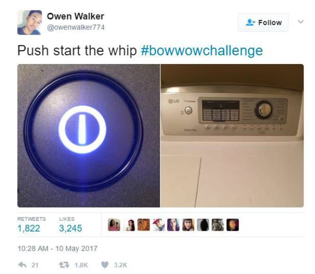 The Internet Owned Bow Wow With The Bow Wow Challenge (20 pics)