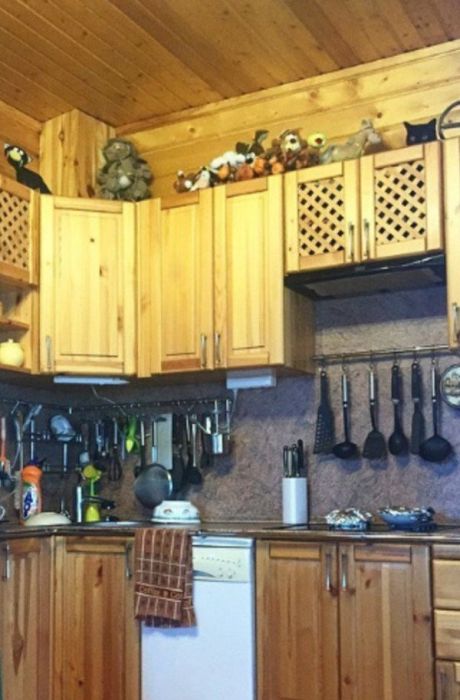 Find The Hidden Cats In These Photos (21 pics)