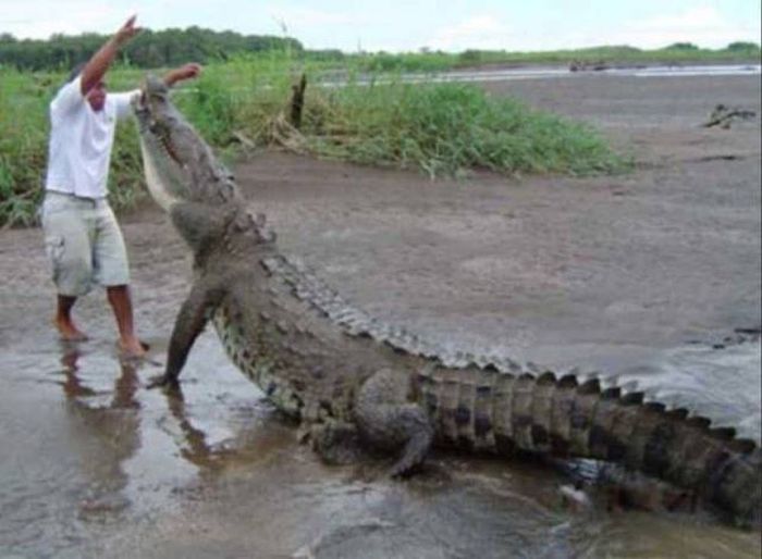 Acid Picdump (92 pics)