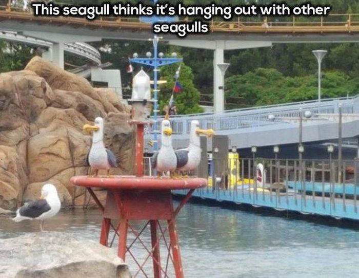 Acid Picdump (92 pics)