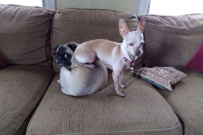 Acid Picdump (92 pics)