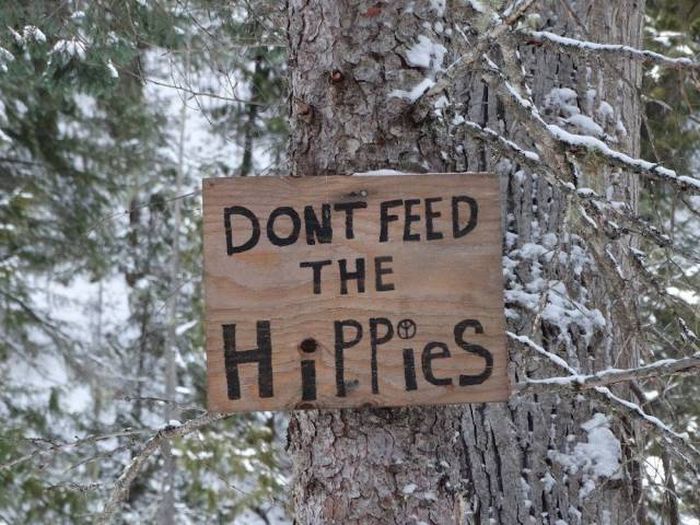 Acid Picdump (92 pics)