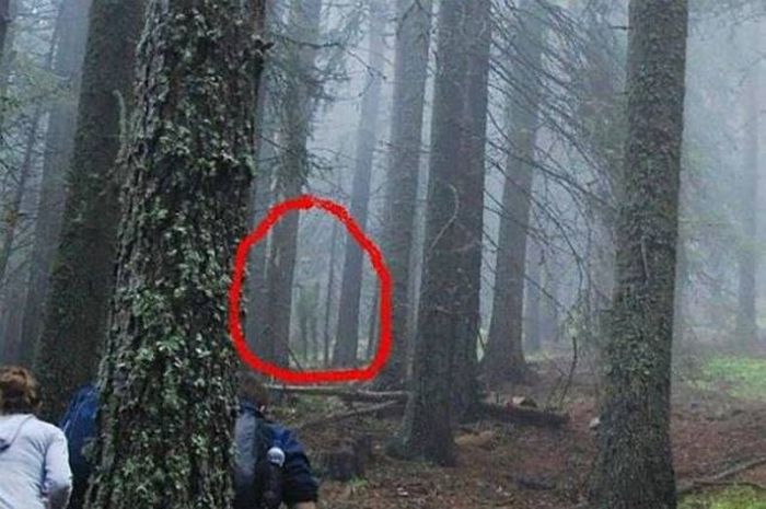 Acid Picdump (92 pics)