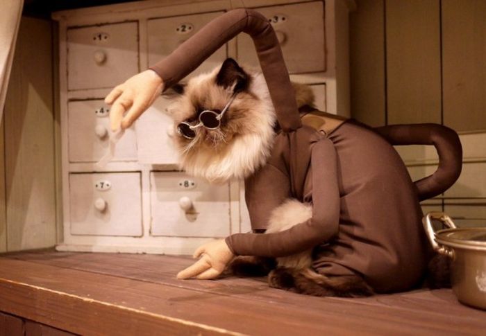 Acid Picdump (92 pics)