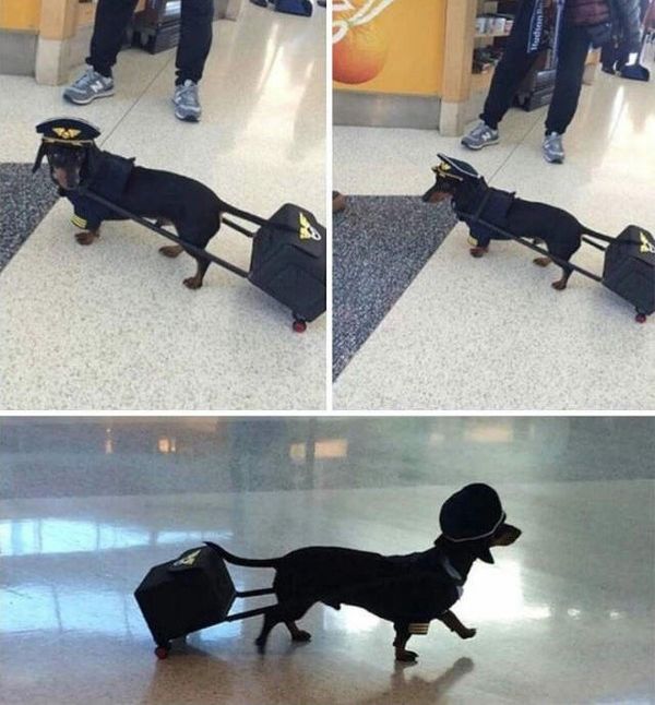 Acid Picdump (92 pics)