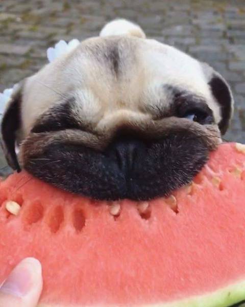 Acid Picdump (92 pics)