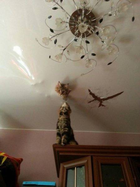 Acid Picdump (92 pics)