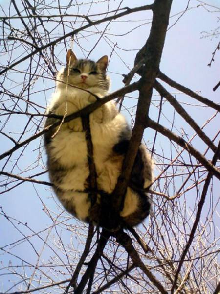 Acid Picdump (92 pics)