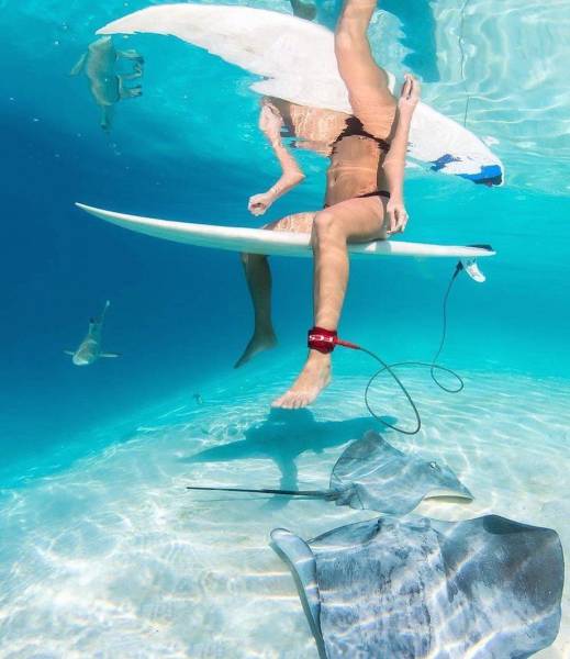 Acid Picdump (92 pics)