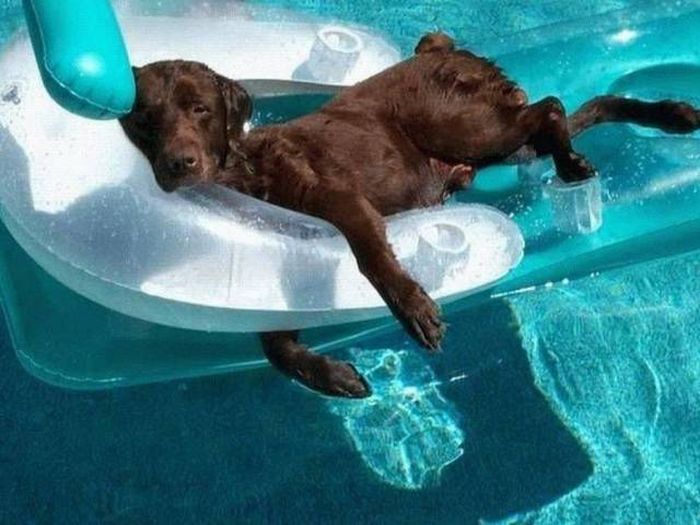 We're Getting So Very Close To The Return of Summer (61 pics)