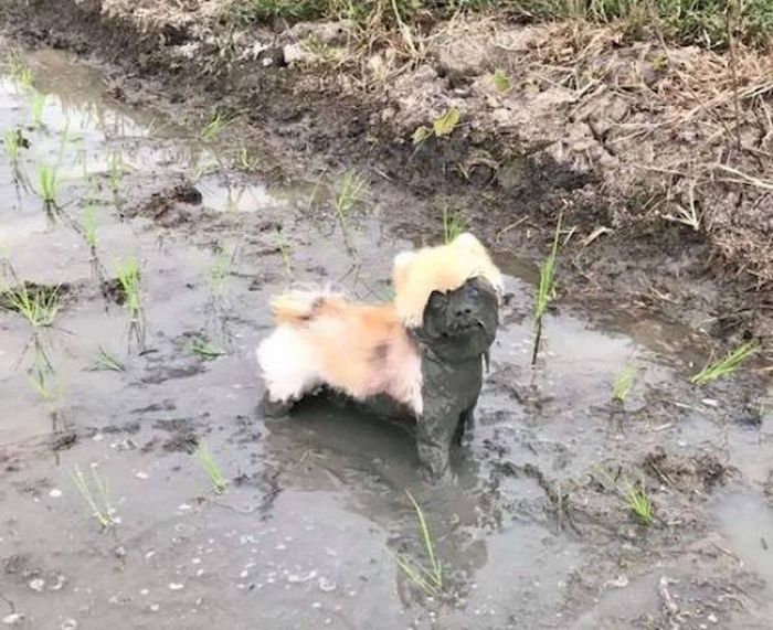 Sometimes Life Can Be Truly Awful (38 pics)