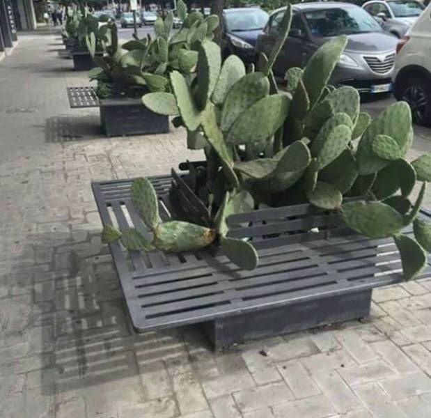 Sometimes Life Can Be Truly Awful (38 pics)