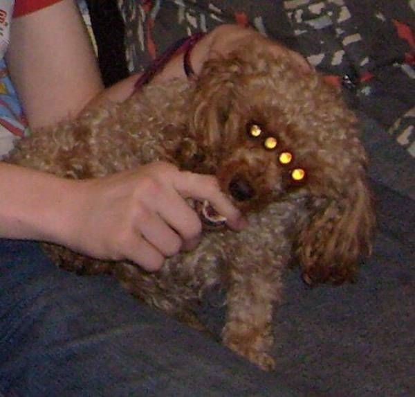 Sometimes Life Can Be Truly Awful (38 pics)