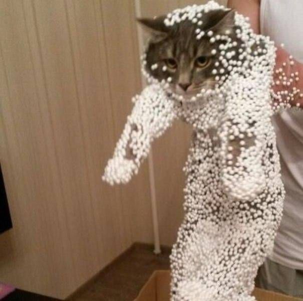 Sometimes Life Can Be Truly Awful (38 pics)