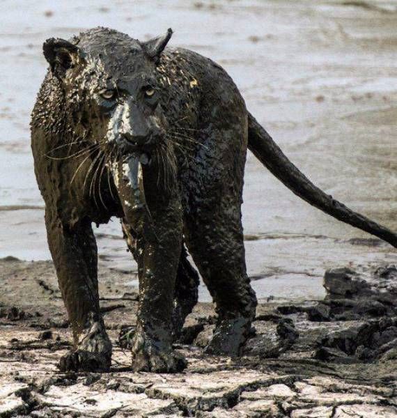 Sometimes Life Can Be Truly Awful (38 pics)