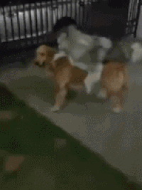 Sometimes Life Can Be Truly Awful (38 pics)
