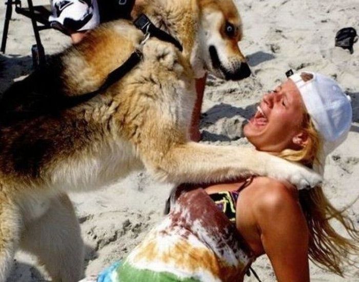 When Animals Face Off Against Women Animals Always Win (22 pics)