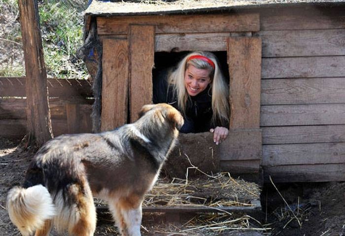 Blondes Are Definitely A Different Species (49 pics)