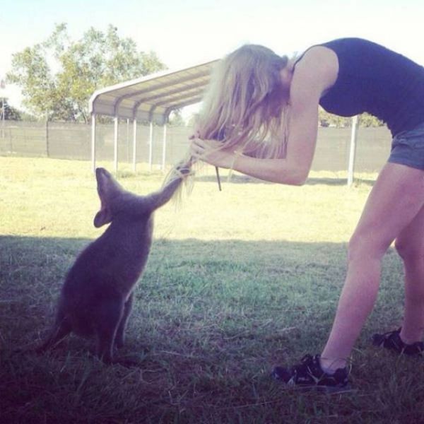 Blondes Are Definitely A Different Species (49 pics)