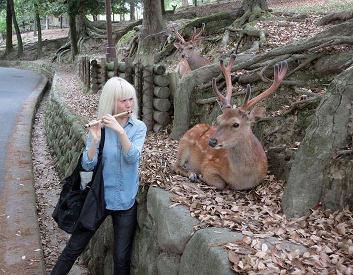 Blondes Are Definitely A Different Species (49 pics)