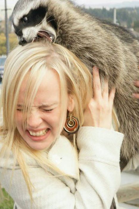 Blondes Are Definitely A Different Species (49 pics)