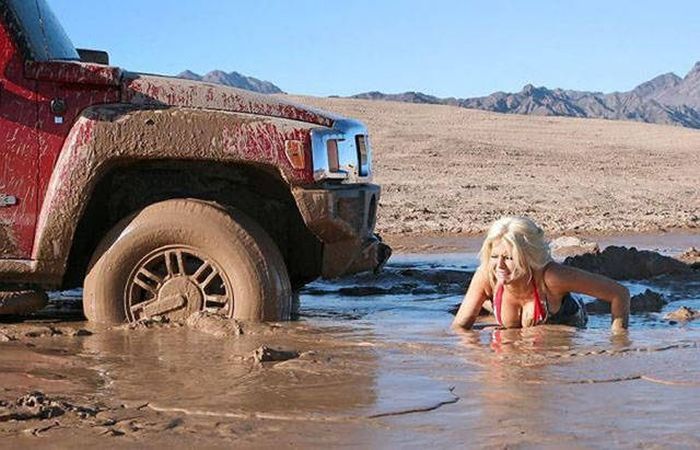 Blondes Are Definitely A Different Species (49 pics)
