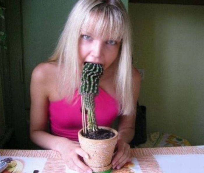 Blondes Are Definitely A Different Species (49 pics)