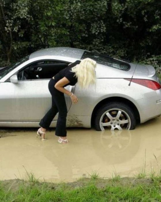 Blondes Are Definitely A Different Species (49 pics)