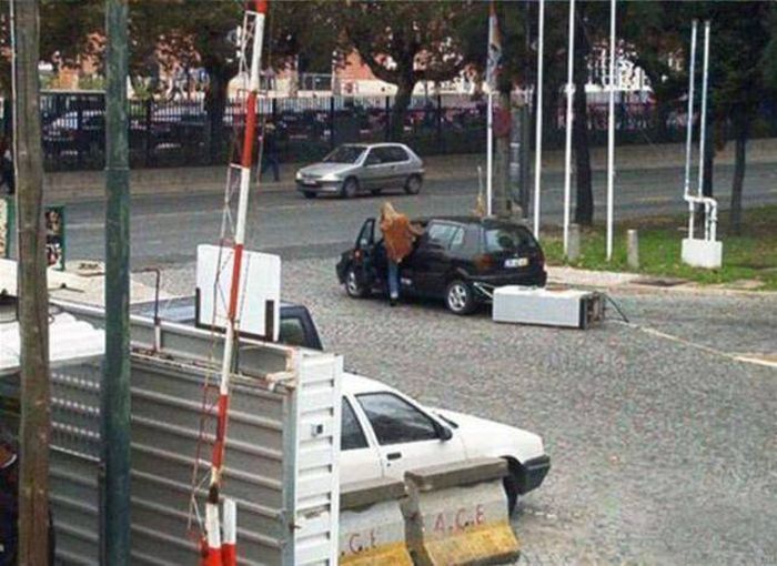 Blondes Are Definitely A Different Species (49 pics)