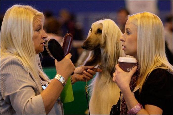 Blondes Are Definitely A Different Species (49 pics)