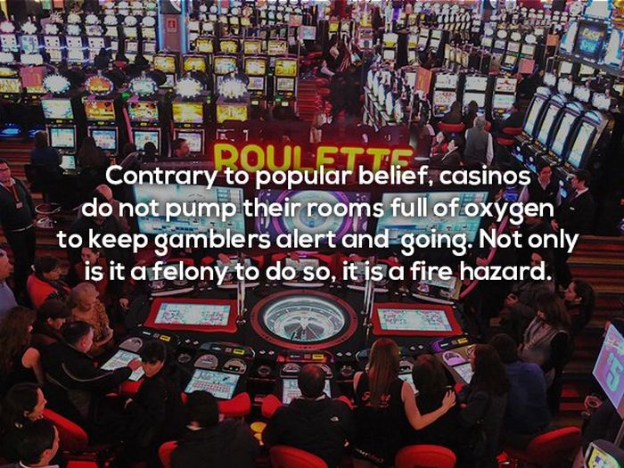 Hit The Knowledge Jackpot With These Awesome Casino Facts (17 pics)