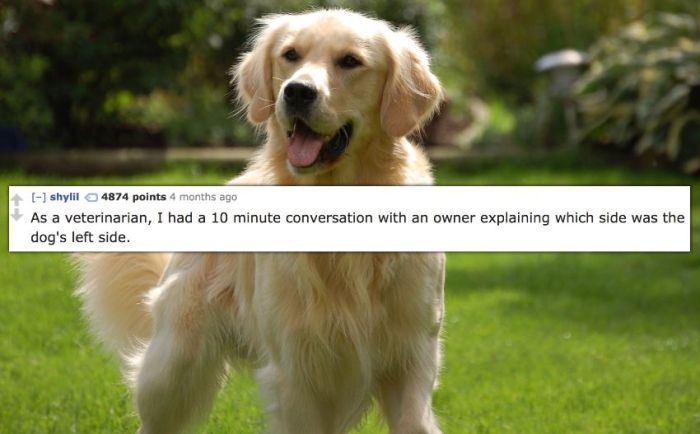 Doctors Reveal The Most Baffling Things They've Had To Explain To Adults (14 pics)