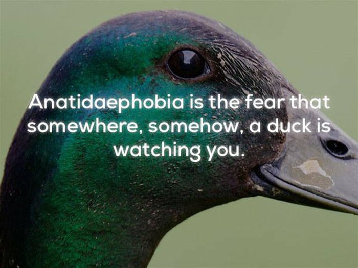These Facts Will Convince You That This World Really Is A Creepy Place (23 pics)