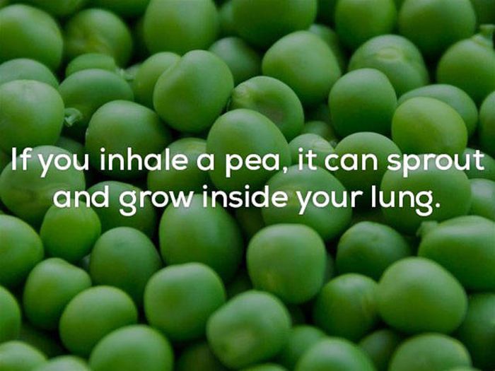 These Facts Will Convince You That This World Really Is A Creepy Place (23 pics)