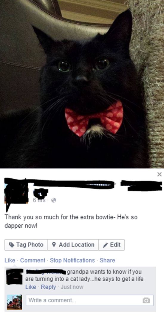 It's Hilarious When Old People Fail At Social Media (20 pics)