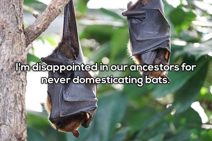 Shower Thoughts Can Really Screw Up Your Brain (20 pics)