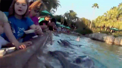 Fails Gifs That Will Keep You Laughing For A Long Time (25 gifs)