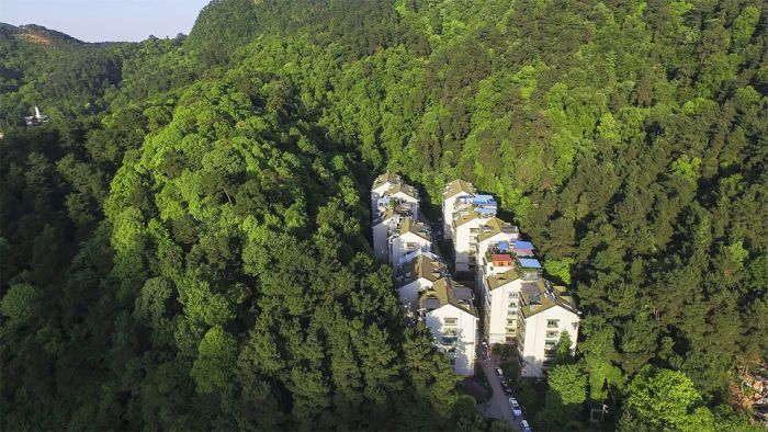 This Residential Complex Is Tucked Away In A Natural Sea Of Green (3 pics)