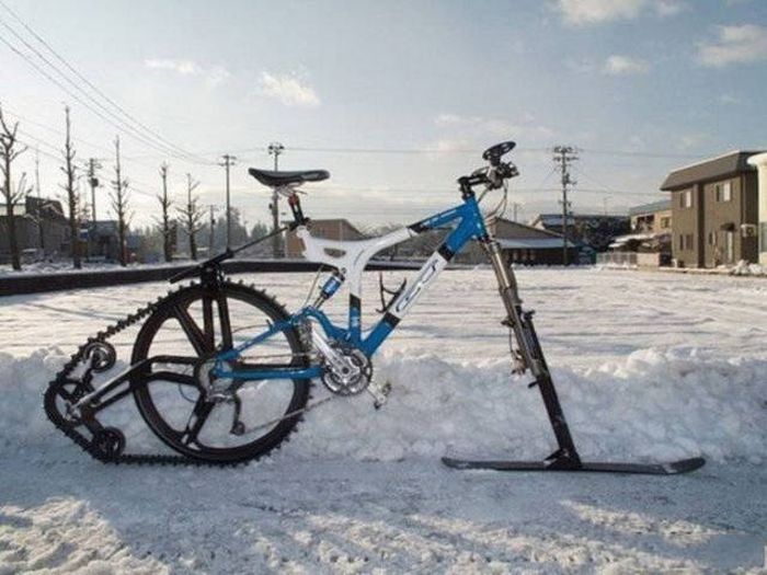 Only In Canada Can You See Such Crazy Things (50 pics)