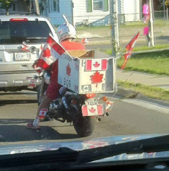 Only In Canada Can You See Such Crazy Things (50 pics)