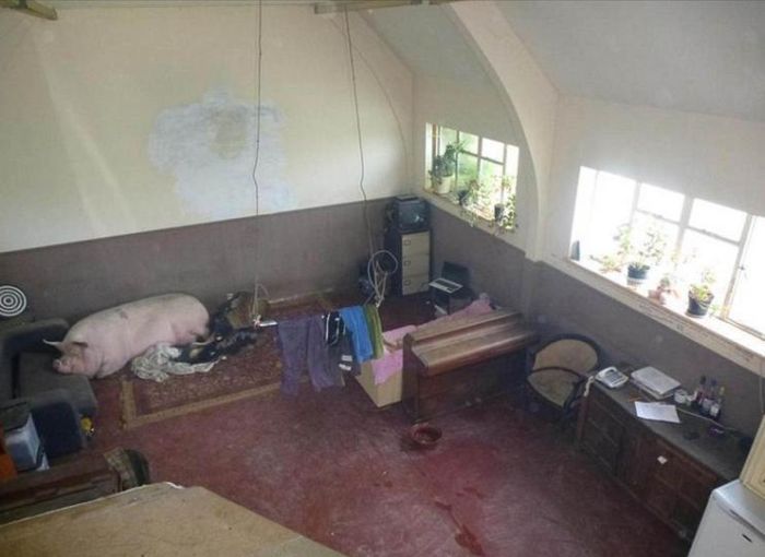 The Most Absurd Photos Ever Posted By Realtors (24 pics)