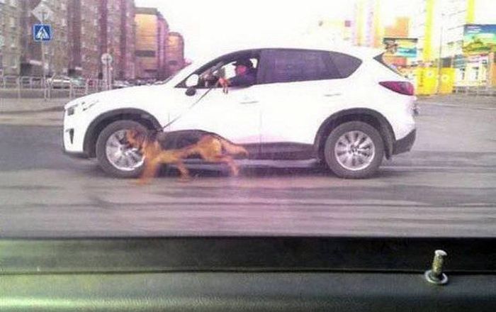 Pictures That Prove Russia Is Ridiculously Weird (48 pics)