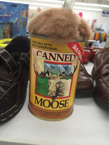 Wow, Thrift Shops Have Some Really Weird Stuff (37 pics)