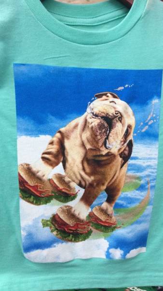 Wow, Thrift Shops Have Some Really Weird Stuff (37 pics)